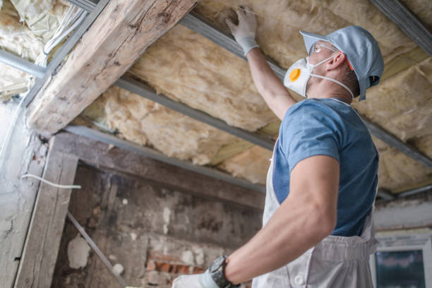 Best Fiberglass Insulation in Villas, FL