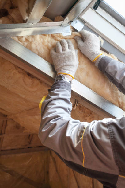 Best Specialized Insulation Services in Villas, FL